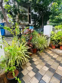 Shansa - A home away from Home - Image 4