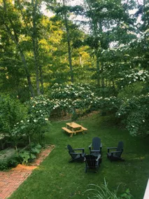 The Cape Cottage - Firepit, Pets OK, Woodstove - Image 5