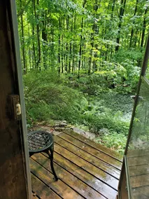 Entire Guesthouse - Forest Retreat, Starlink WiFi - Image 3