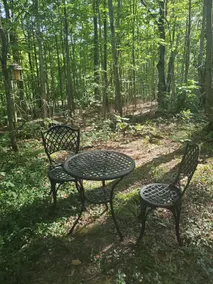Entire Guesthouse - Forest Retreat, Starlink WiFi - Image 4