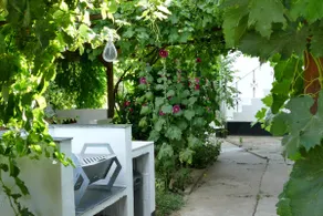 Rediscover the Simple Life. Peaceful Private Home - Image 5