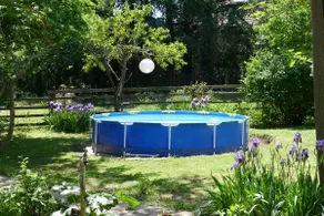 Rediscover the Simple Life. Peaceful Private Home - Image 3