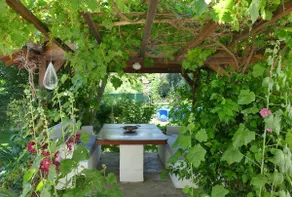 Rediscover the Simple Life. Peaceful Private Home - Image 4