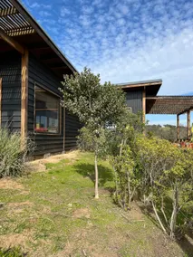 Wala House - Image 2