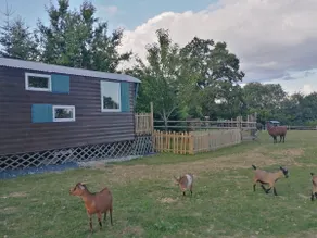 Trailer in the heart of the animals, 2 to 4 people - Image 5
