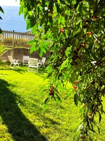 Tirano Express, barbecue area, a short walk from the Bernina - Image 2