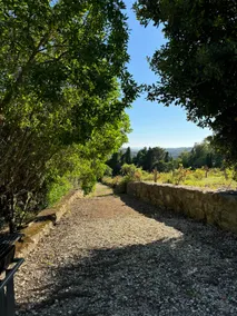 Farm Silvestre T1 - Image 4