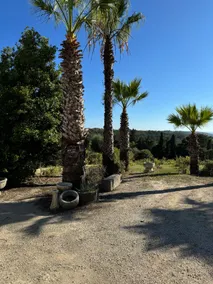Farm Silvestre T1 - Image 5