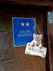 Studio Apartman ”Lone Coyote” - Image 2