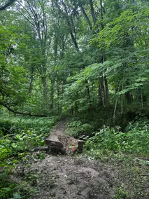 A frame River View - Image 4