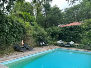 Forest House - Image 4