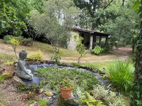 Forest House - Image 5