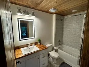 ”Pike's Place” New Cabin in Daisy Ark. - Image 5