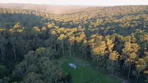 Whitegum Forest Pod - Image 2