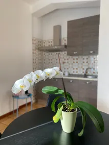 Vacation Home - Image 5