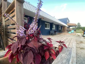 Bayfield Retreat • Near Grand Bend • Pool+Hottub 5 - Image 5
