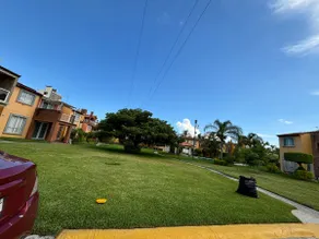 The Amazon - Image 3