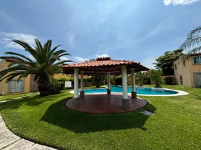 The Amazon - Image 2