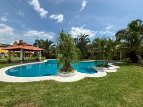 The Amazon - Image 5