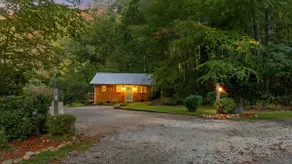 Baby Bear's Den, Tiny Paradise - Image 2