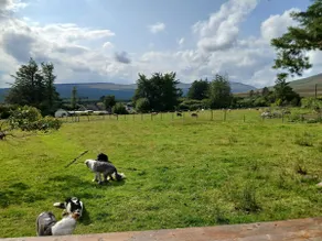 Sheep cabin view, Knockmealdown mountain, Lismore - Image 4