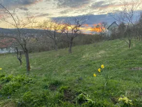 Panoramablick - Image 5