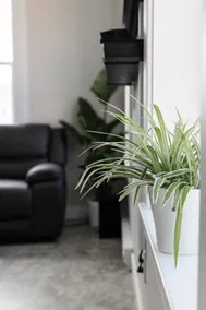 Penthouse Suite In The Heart Of The City! - Image 4