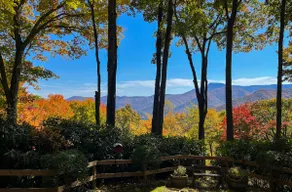 Sasha’s Hidden Creek Cabin-Magical Views, 12 Acres - Image 5