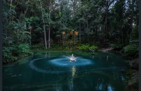 Fountain View at Mistere | Rainforest Hideaway - Image 5