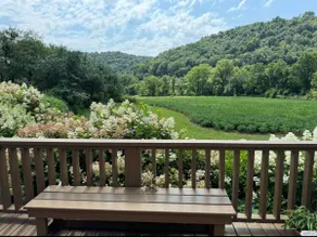 Paradise Valley Sanctuary / Hidden Midwest Retreat - Image 4