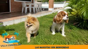 Villa Esmeralda del Mar - Image 3