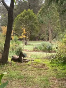 The Country Cottage - Image 3