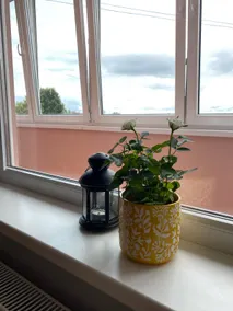 Sunny place - Image 5