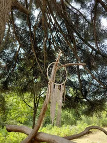Gîte Ô Nature - Image 2