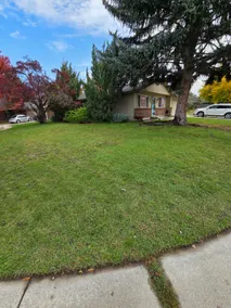 There's No Place Like Home - Image 3