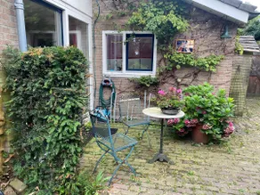 The green house - Image 3