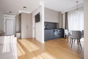 Moldovei 2 Apartments by Central Park  - Image 3
