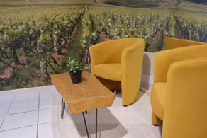 Les Galipes Studio – Avize Grand Cru - Image 3