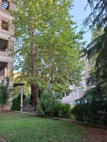 St. Constantine and Helena - Image 4