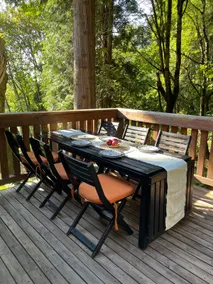 W Cabin Wine Country · 3BR/2BA · Views! - Image 3
