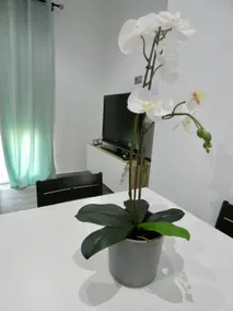 Casa Monturrio - Image 3
