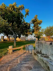 Tenuta Lu Beddhru - Image 5