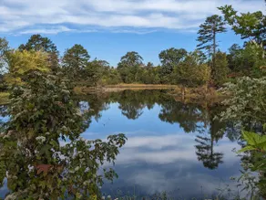 The Cozy Up on Lake Mimosa - Image 3
