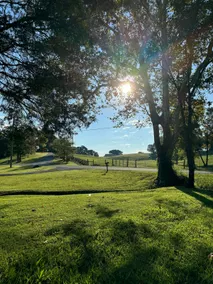 NEW*Bourbon Country Hideaway~6 miles to Bardstown - Image 4