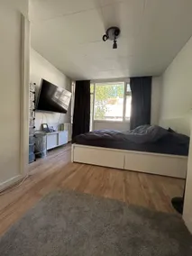 Entire apartment in Amsterdam - Image 3