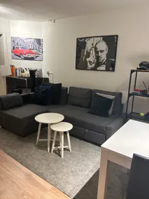 Entire apartment in Amsterdam - Image 2