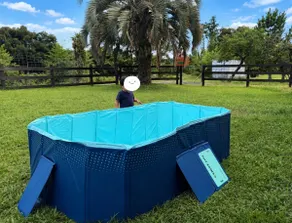 [Large trampoline / stylish house featured on TV] Sauna with low temperatures / covered BBQ / Mother Farm / family - Image 4