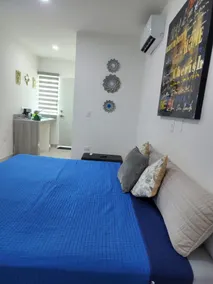 Comfortable executive room - Image 4