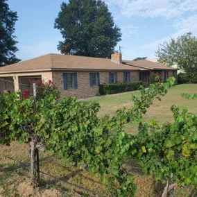 Vineyard Views Retreat - Image 2