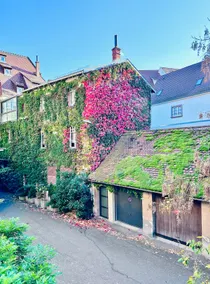 ”Cœur Alsace” in the very heart of the city, parking, all comforts - Image 3